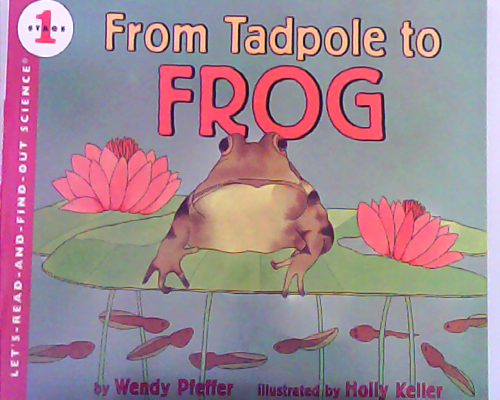 From Tadpole to Frog